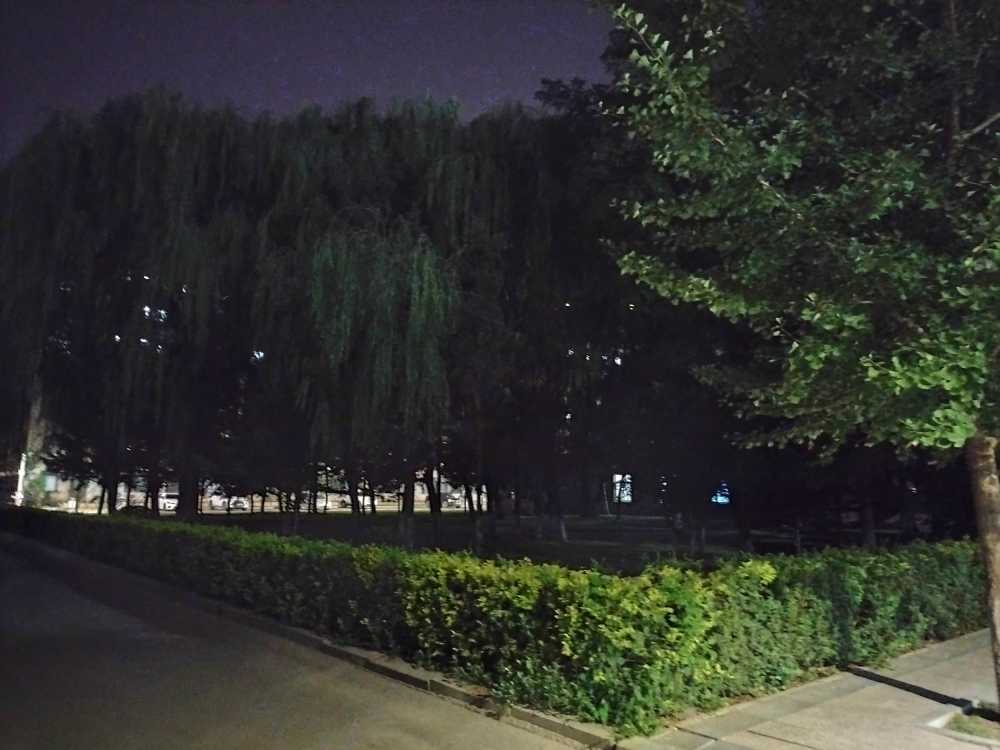 东北大学风景