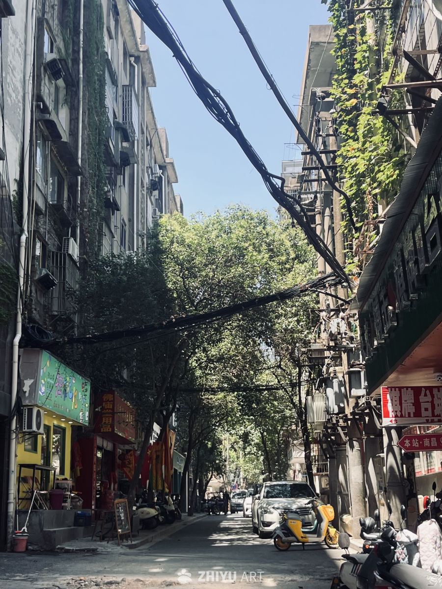 阳光下的小巷生活