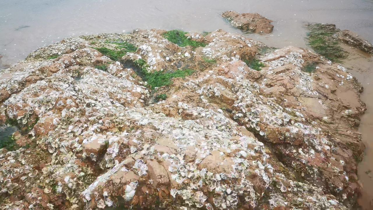 大海海浪沙滩礁石风景实拍