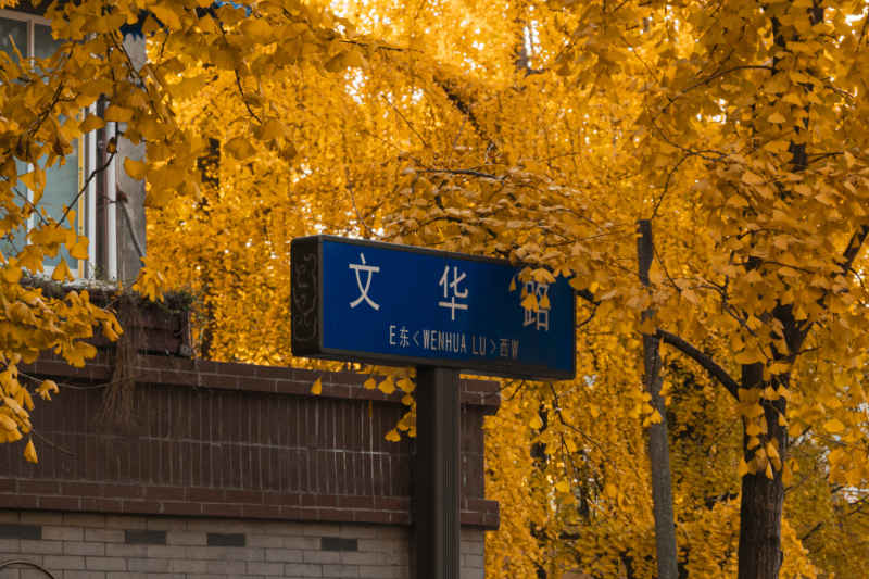 🍂 1