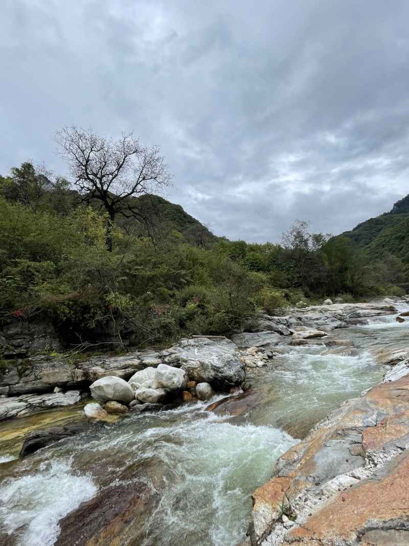 秦岭一路大箭沟