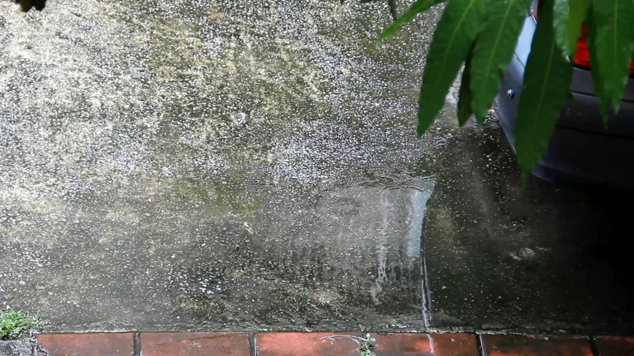 小院春雨