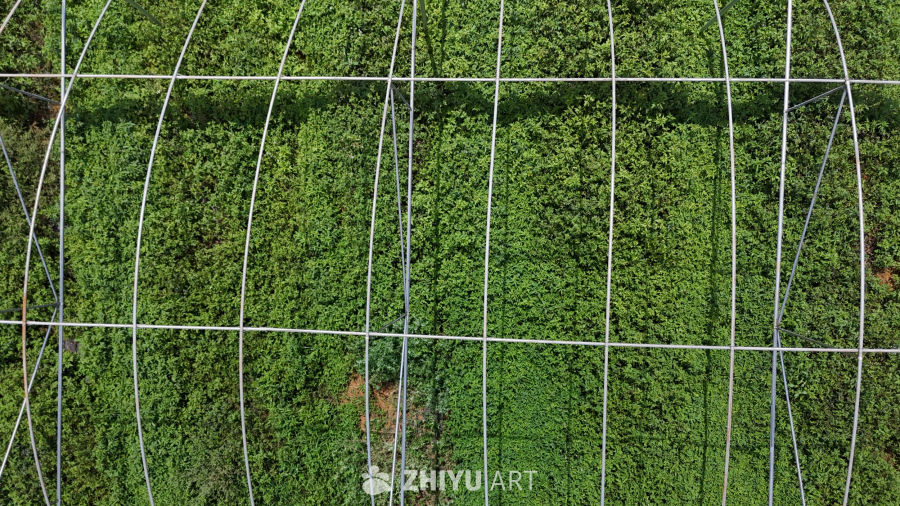 温室植物园景