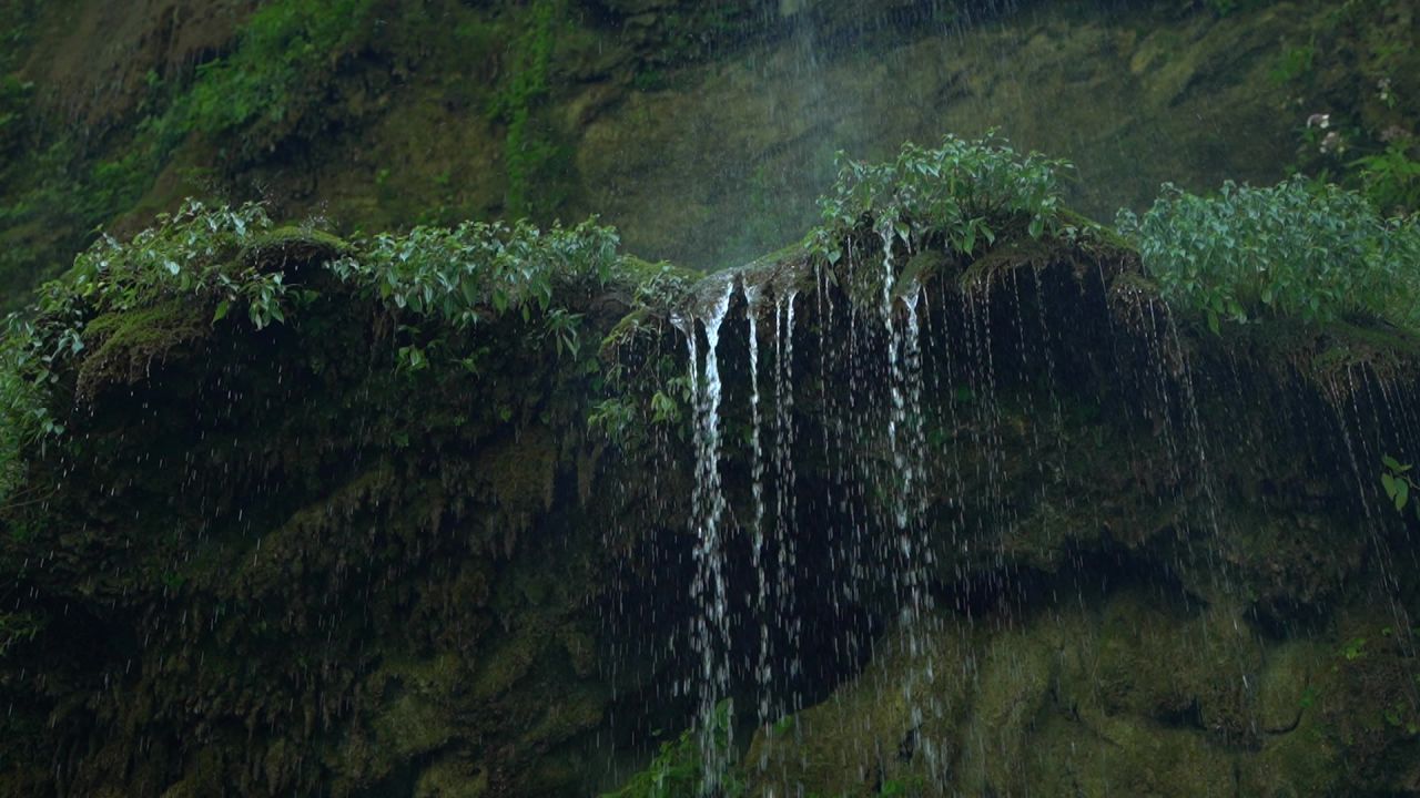 C0022 17