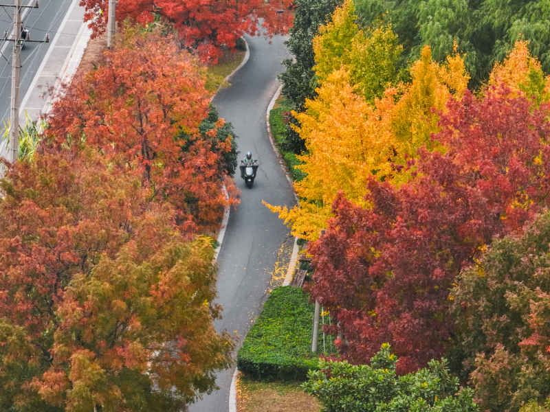 昆山道路上的秋冬景色 18