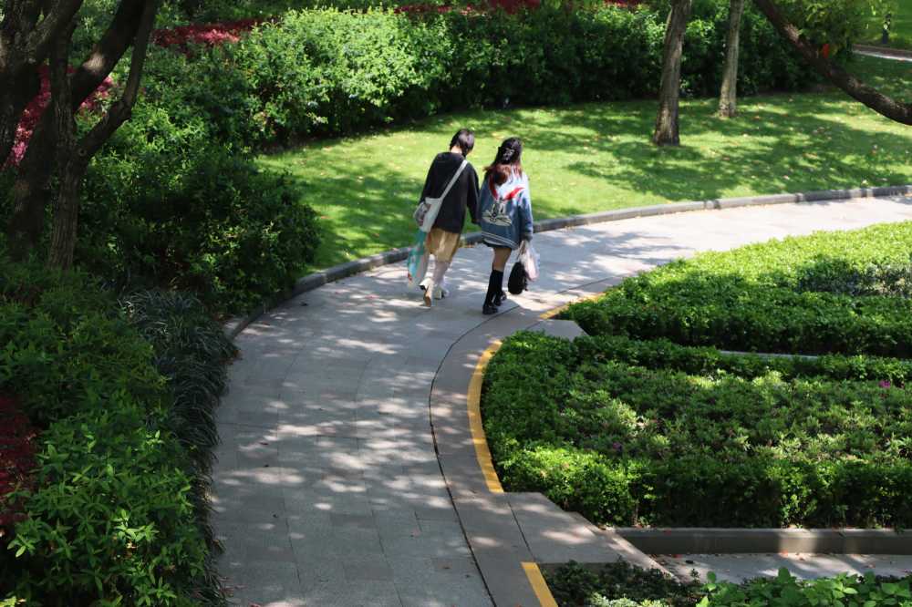 徐家汇公园宁静的林荫小道