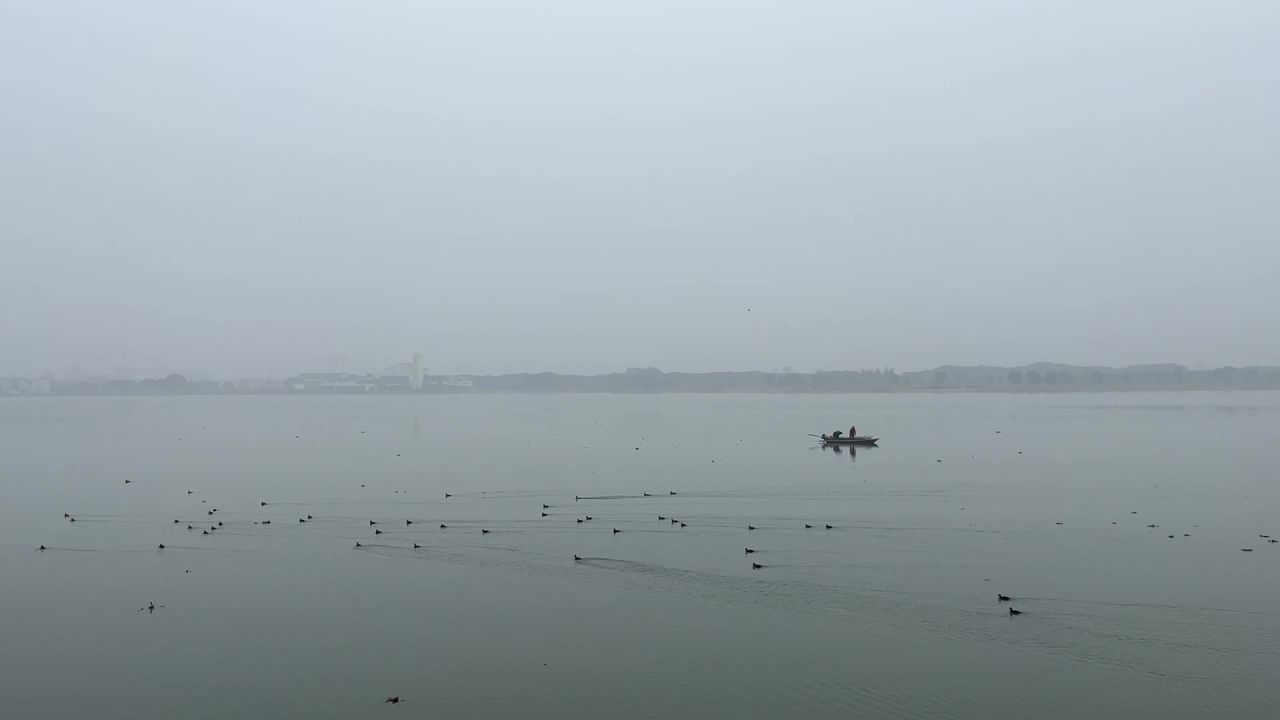 湖边渔船小舟水鸟飞