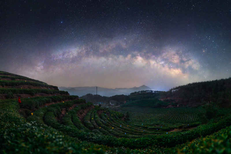 星空璀璨映茶园