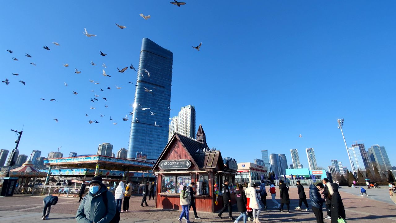 绕圈的海鸥