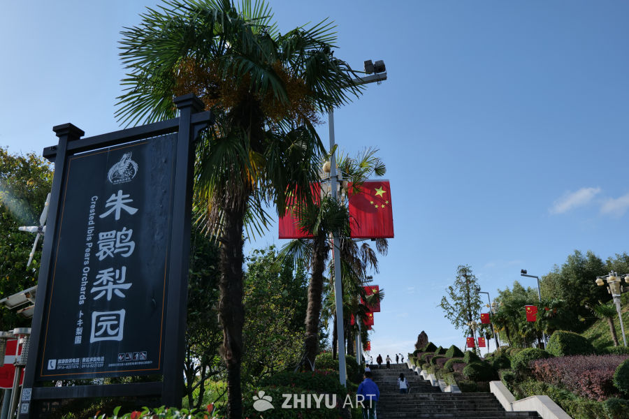 朱鹮梨园景区 5