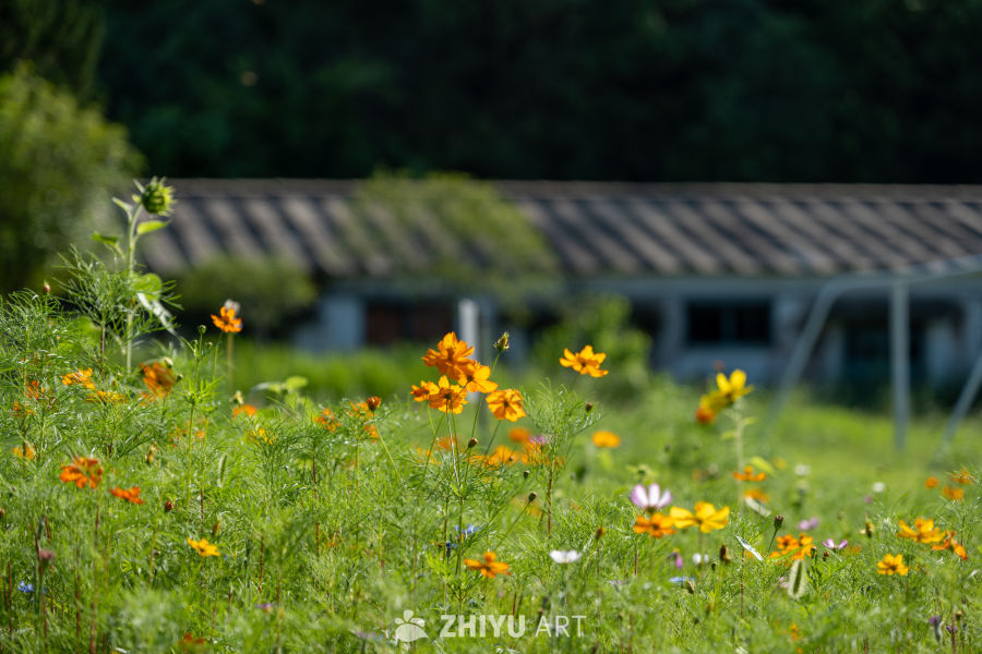 城市风景 26