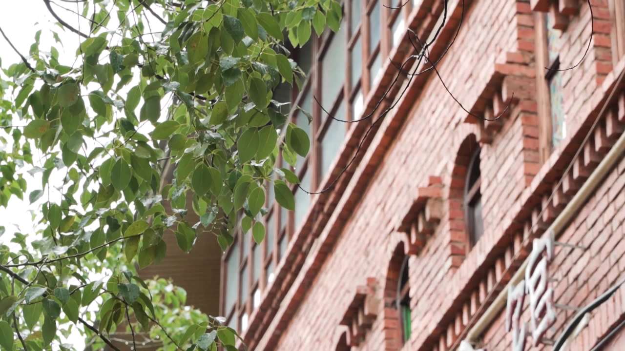 雨中红砖建筑