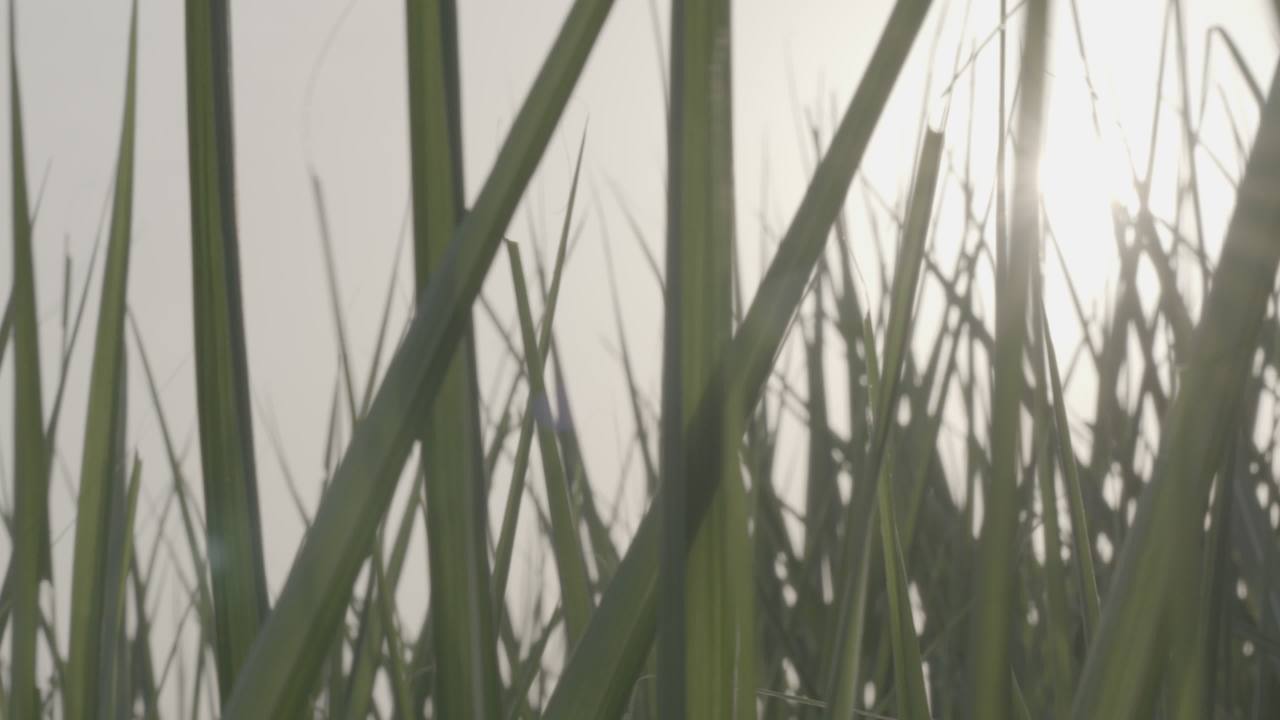 宜昌江边 46