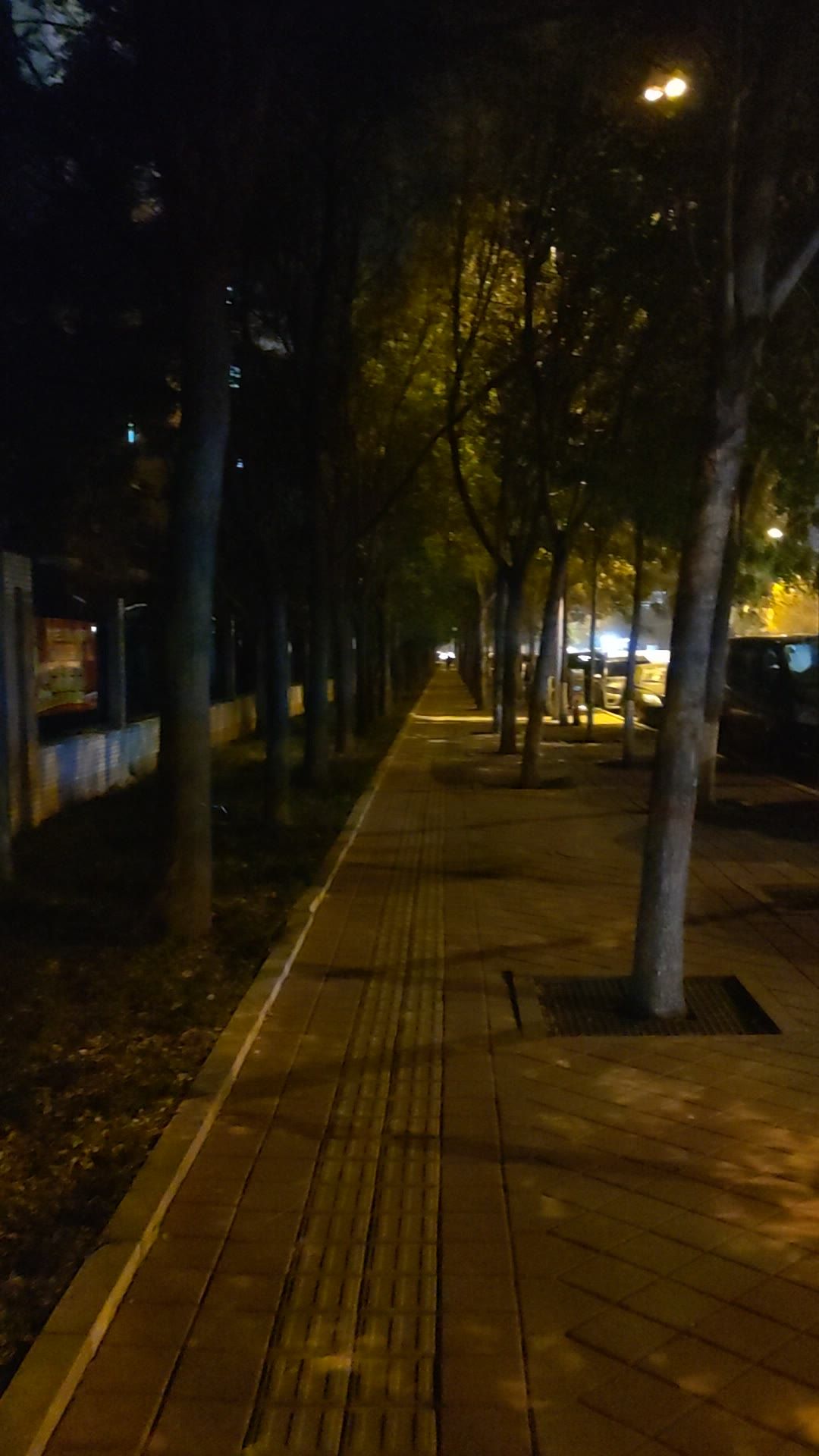 城市2