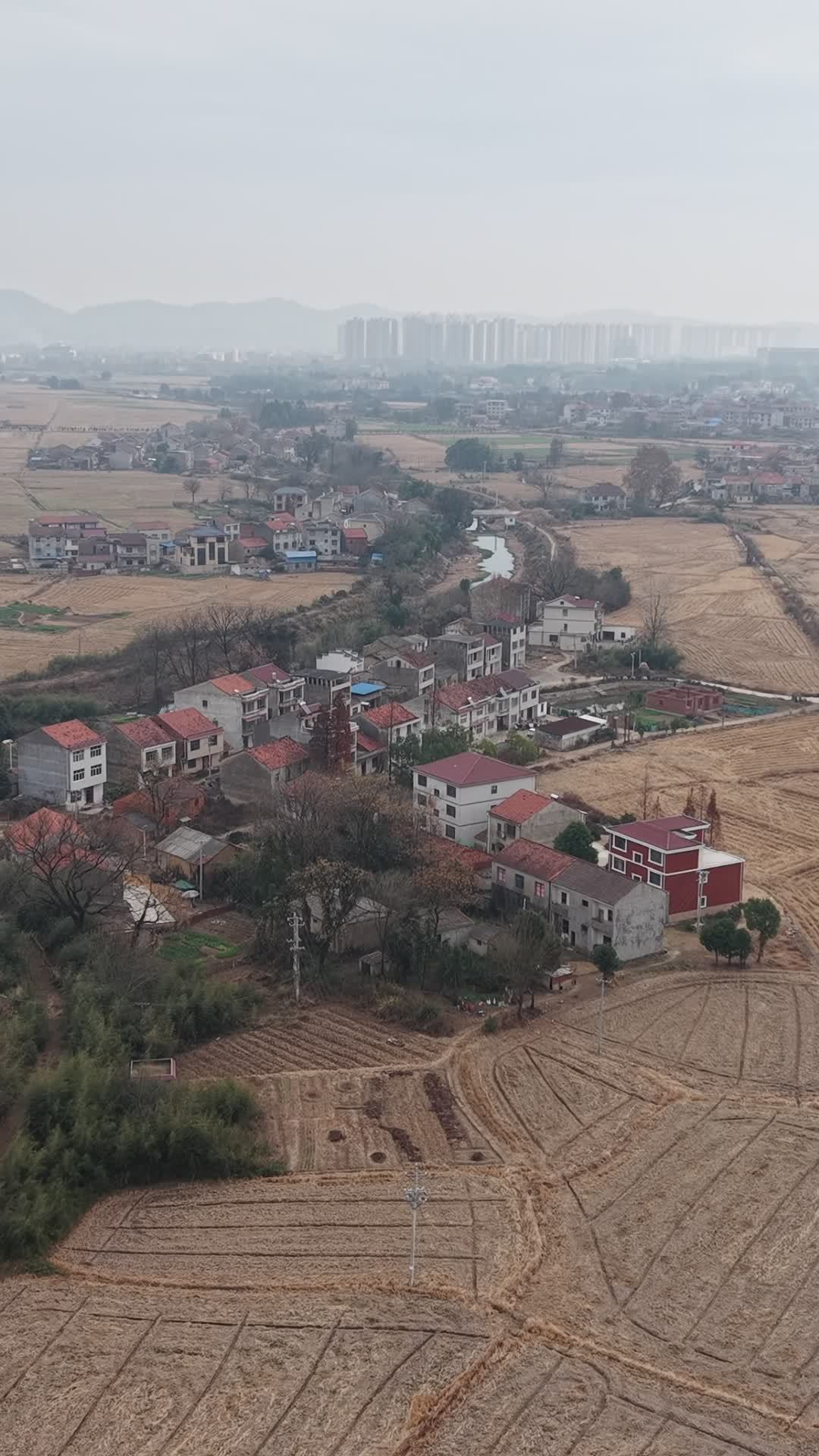 乡村静谧风光