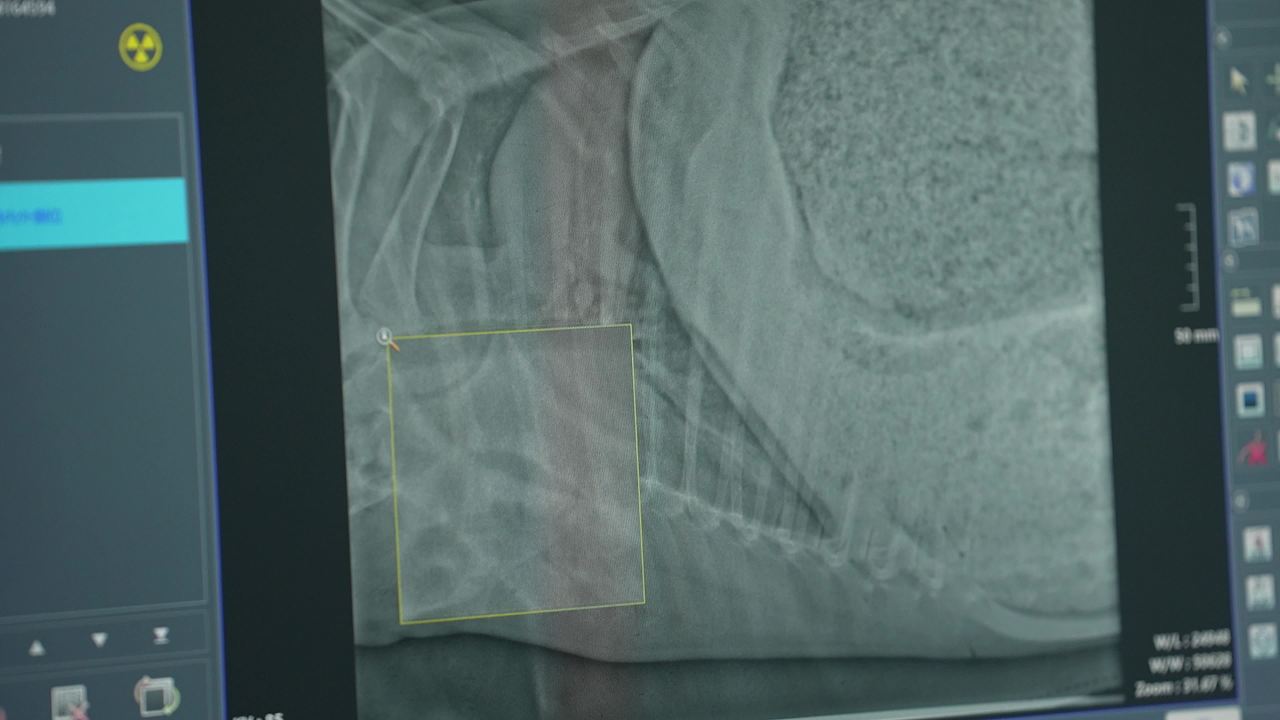 畜牧兽医团队工作记录