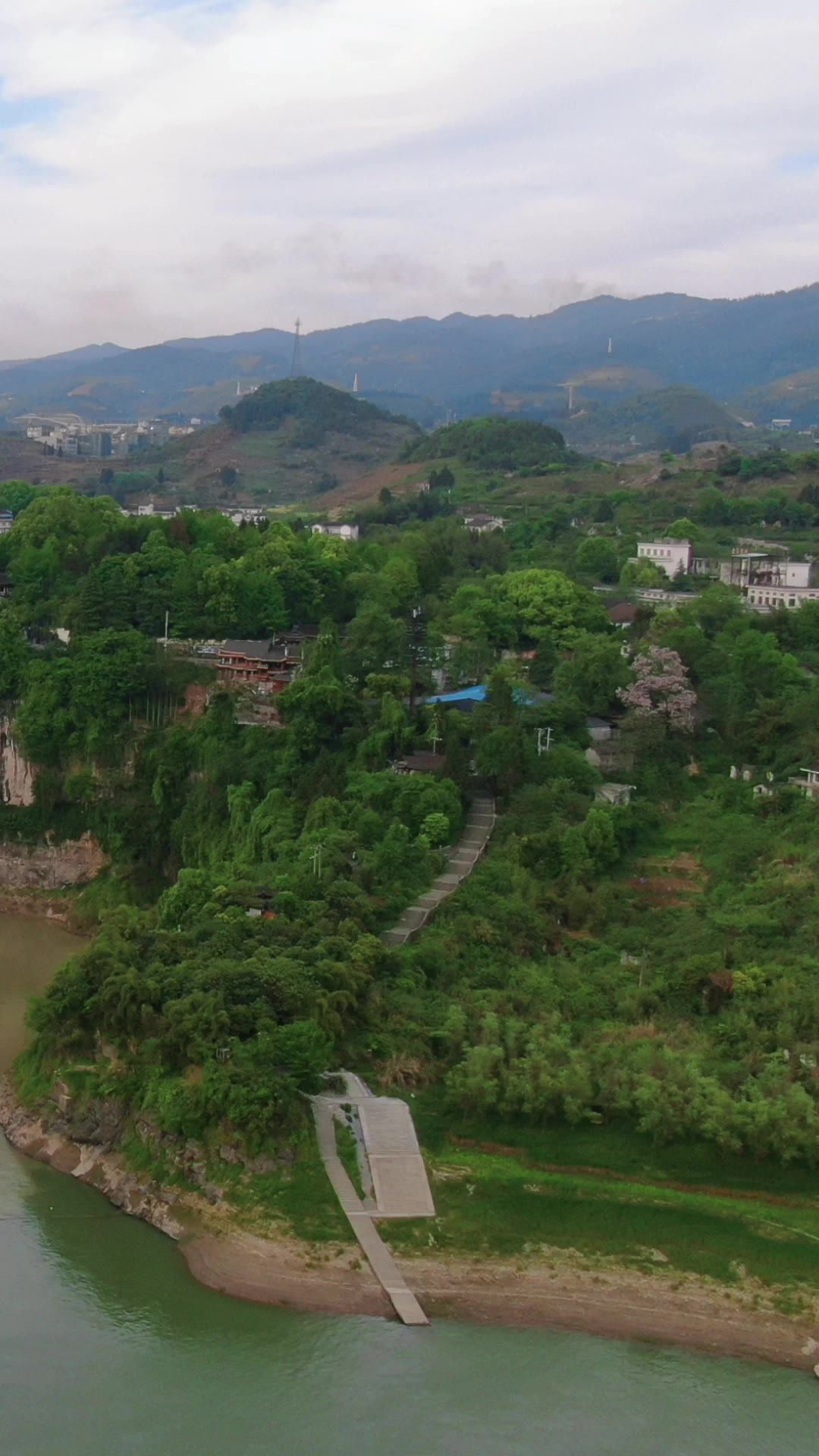 美丽乡村田园农业种植油菜花竖屏