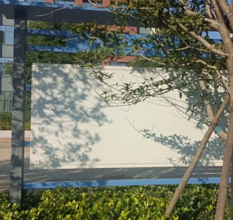 树与它的影子