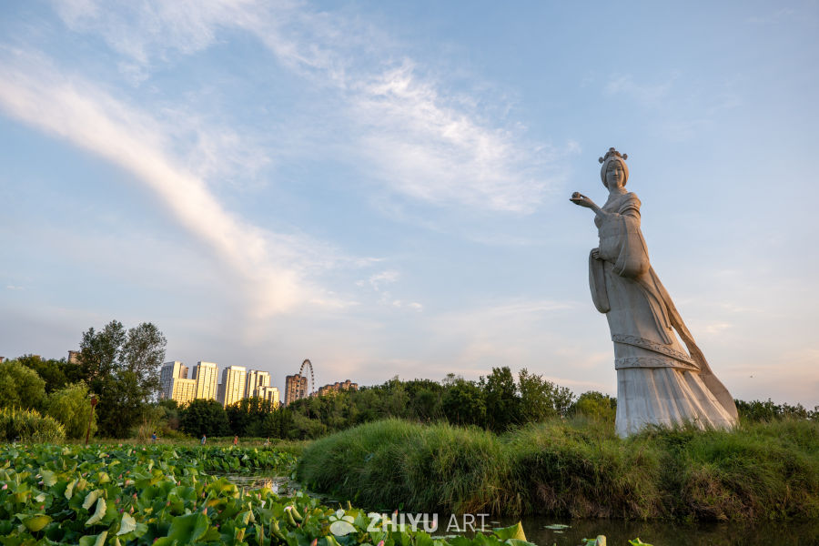 古楼荷花 38