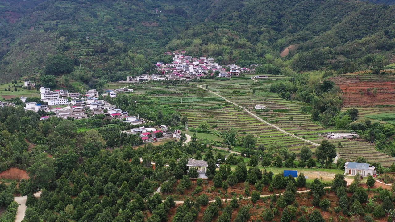 坚果基地 3