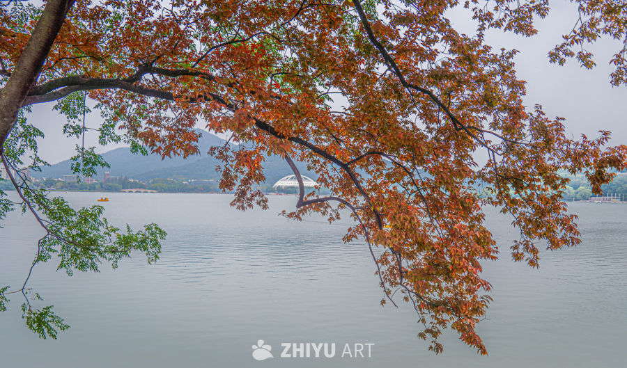 秋日湖畔的静谧时光