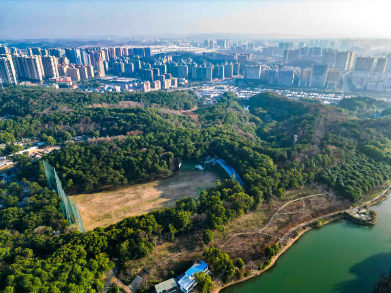 湖南省植物园航拍摄影图
