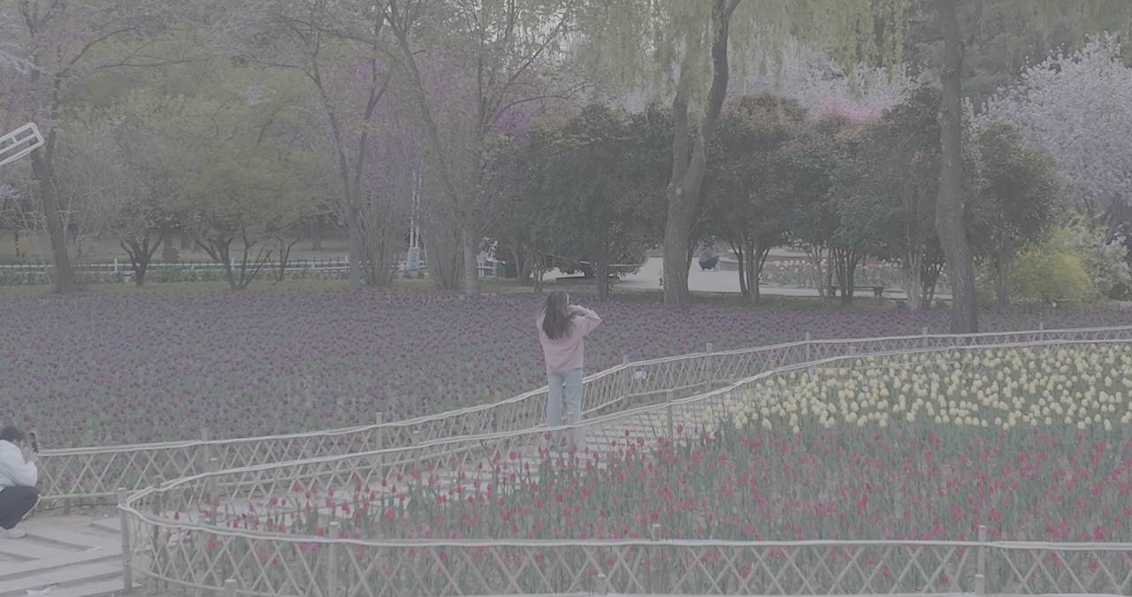 春天花园里的自由时光