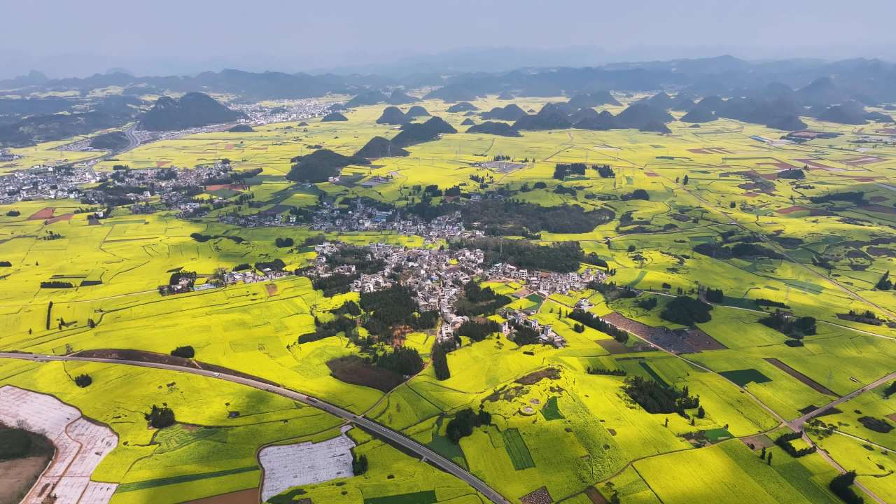 4k航拍云南罗平油菜花海  大美中国
