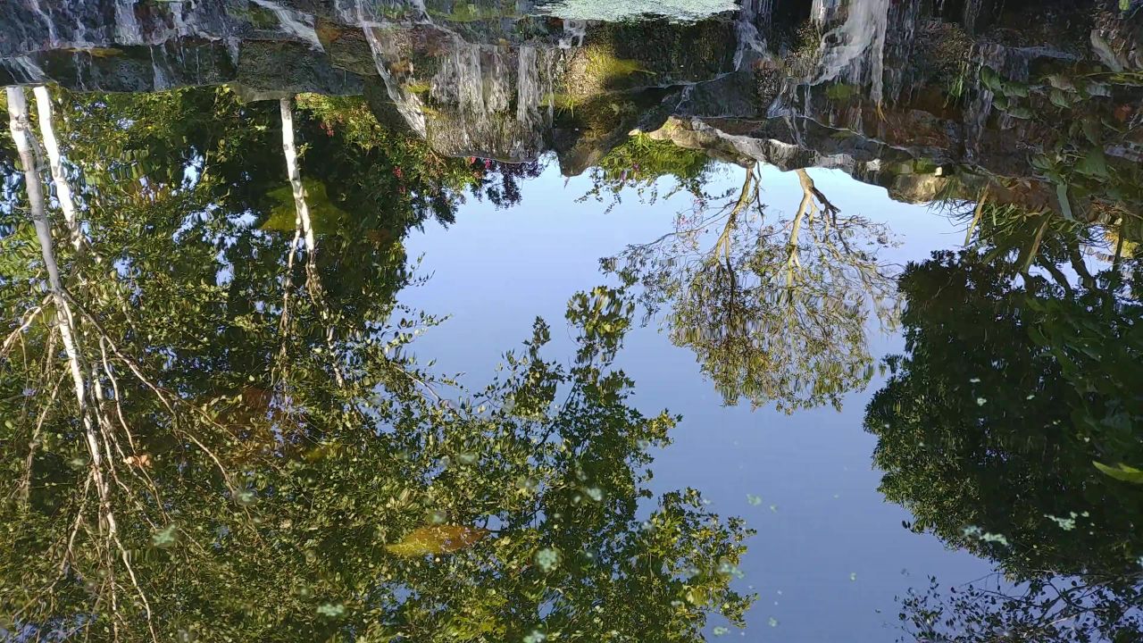 水坡反思池公园