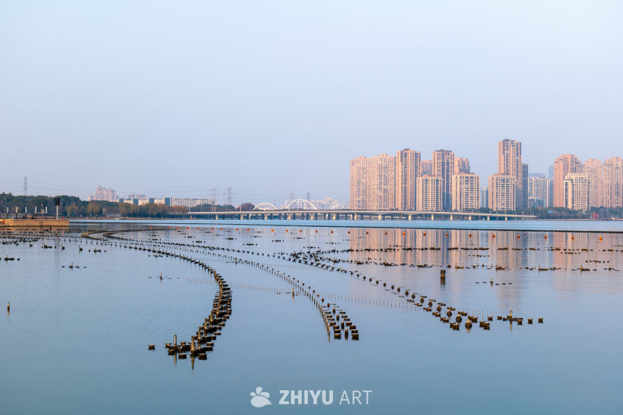 城市河畔清晨风光