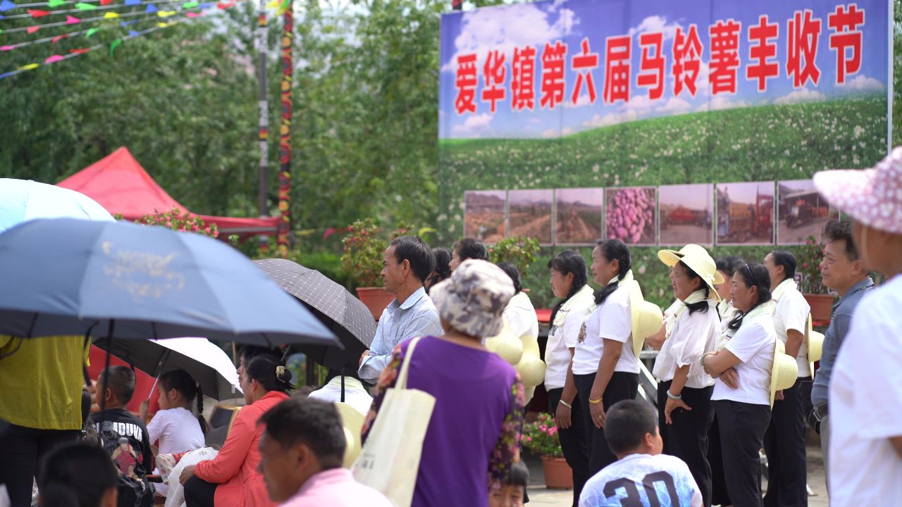 丰收 43