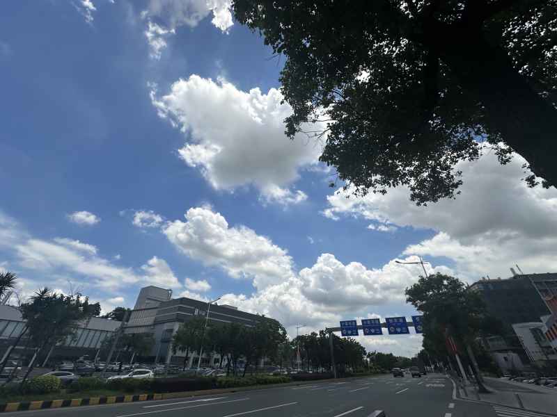 南方集云 6
