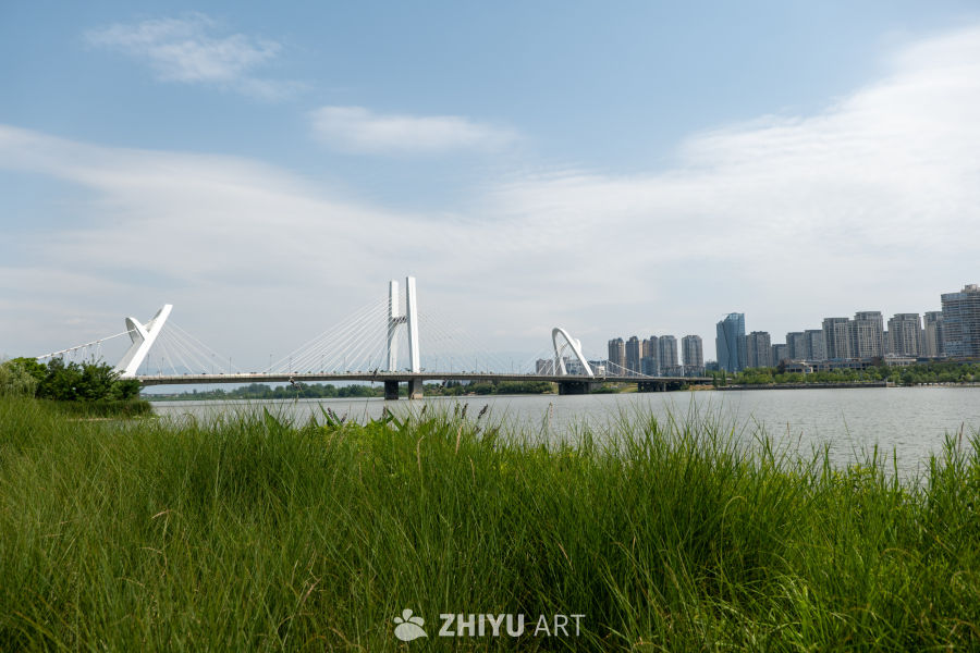 湿地公园一角 21