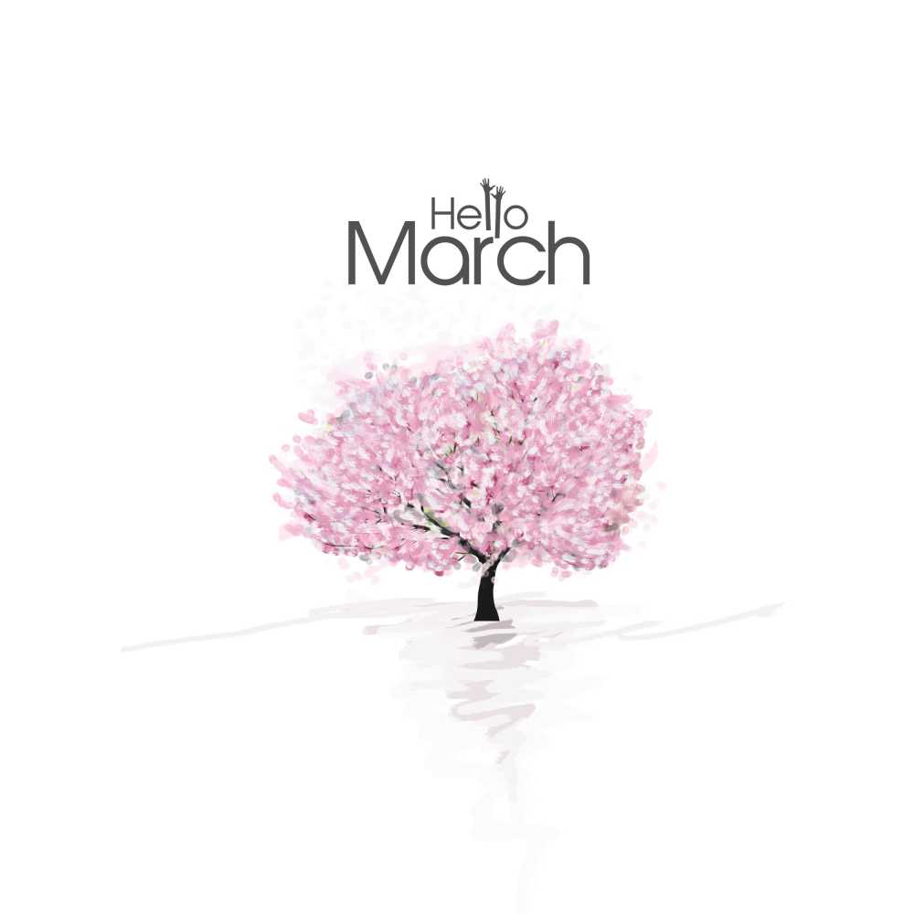 绘画樱桃树樱花三月可爱春天白色背景艺术