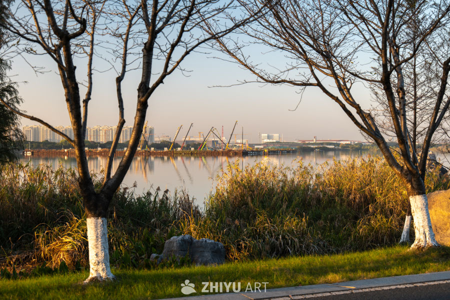 湖畔晨曦：自然与城市的对话