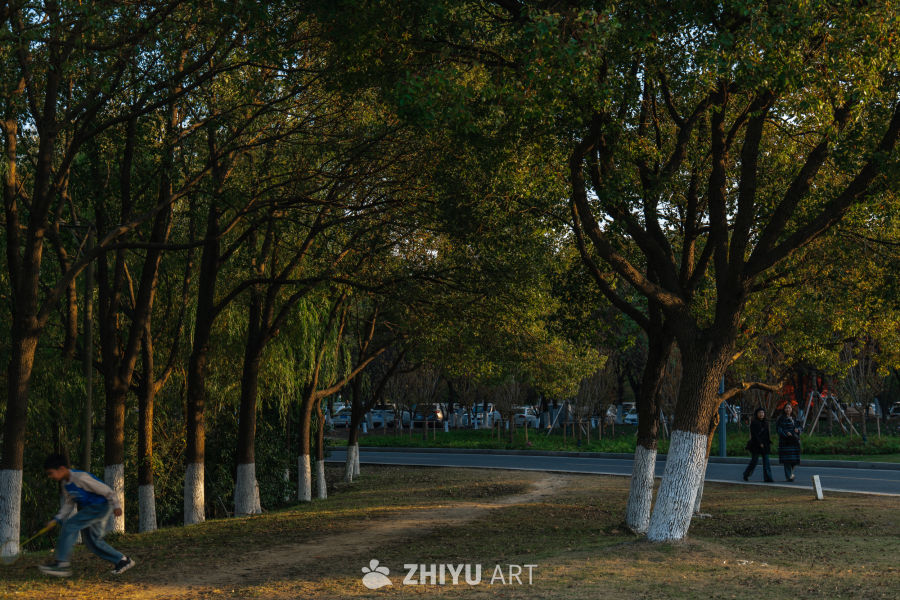 公园黄昏，漫步与嬉戏