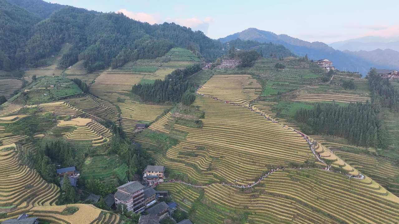 4K航拍桂林龙脊梯田风光 13