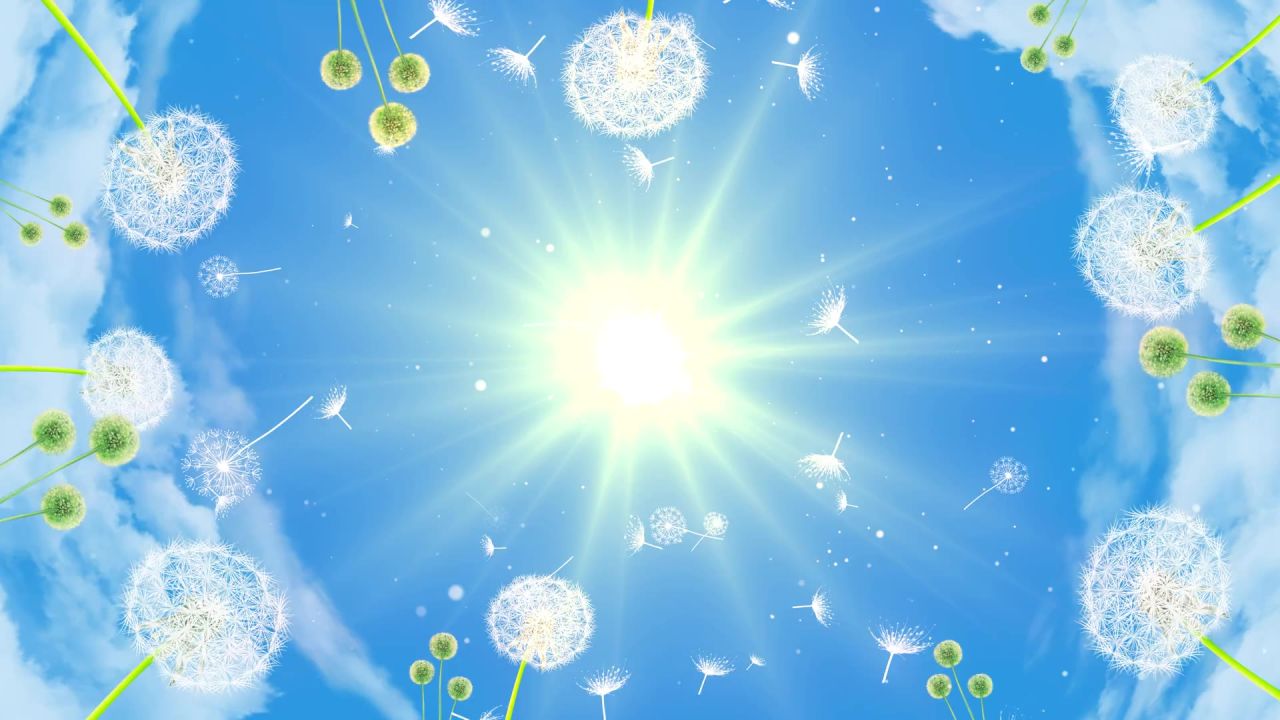 小清新蒲公英梦幻粒子led视频素材 5