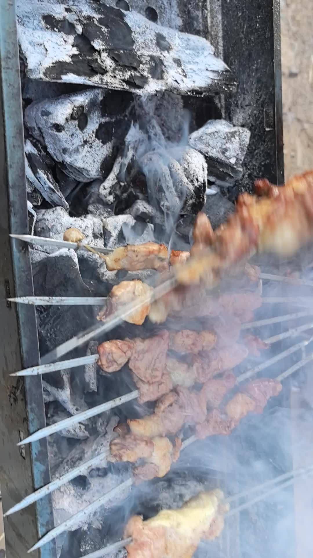 炭火烧烤，烤羊肉串，露营 3