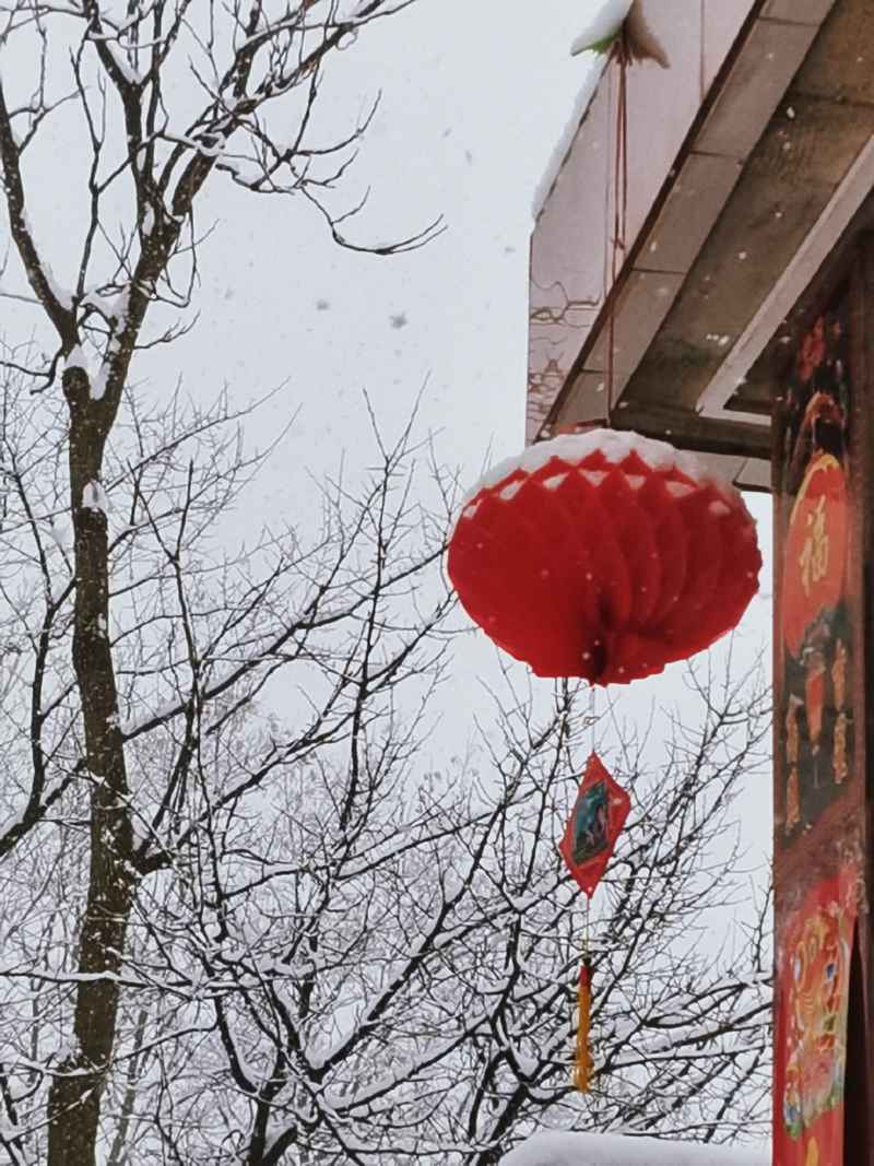 想家了