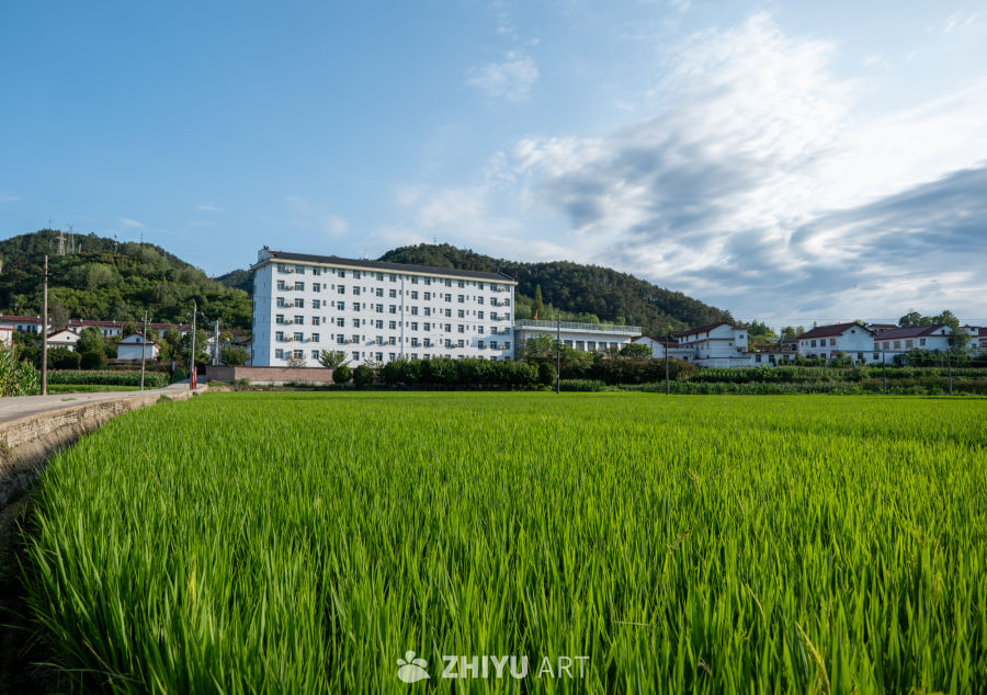城市风景 35