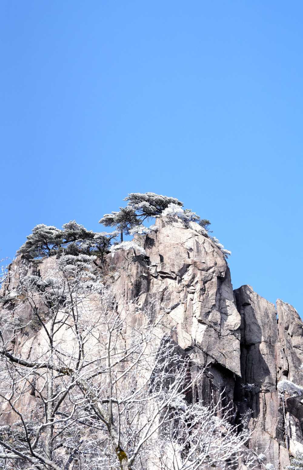 雪落黄山，雾凇云海——山篇