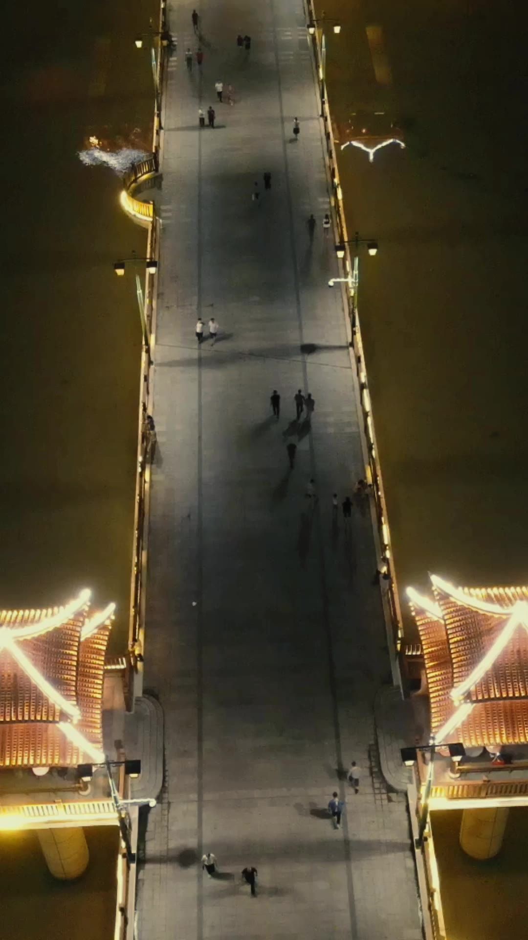 福建漳州古城夜景竖屏航拍