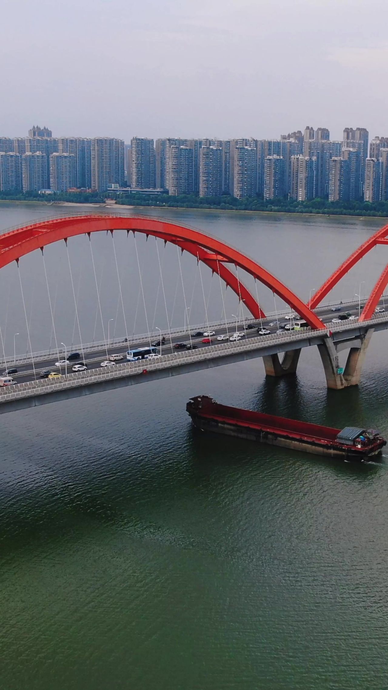 湖南 长沙 城市 风光 建筑 竖屏 航拍
