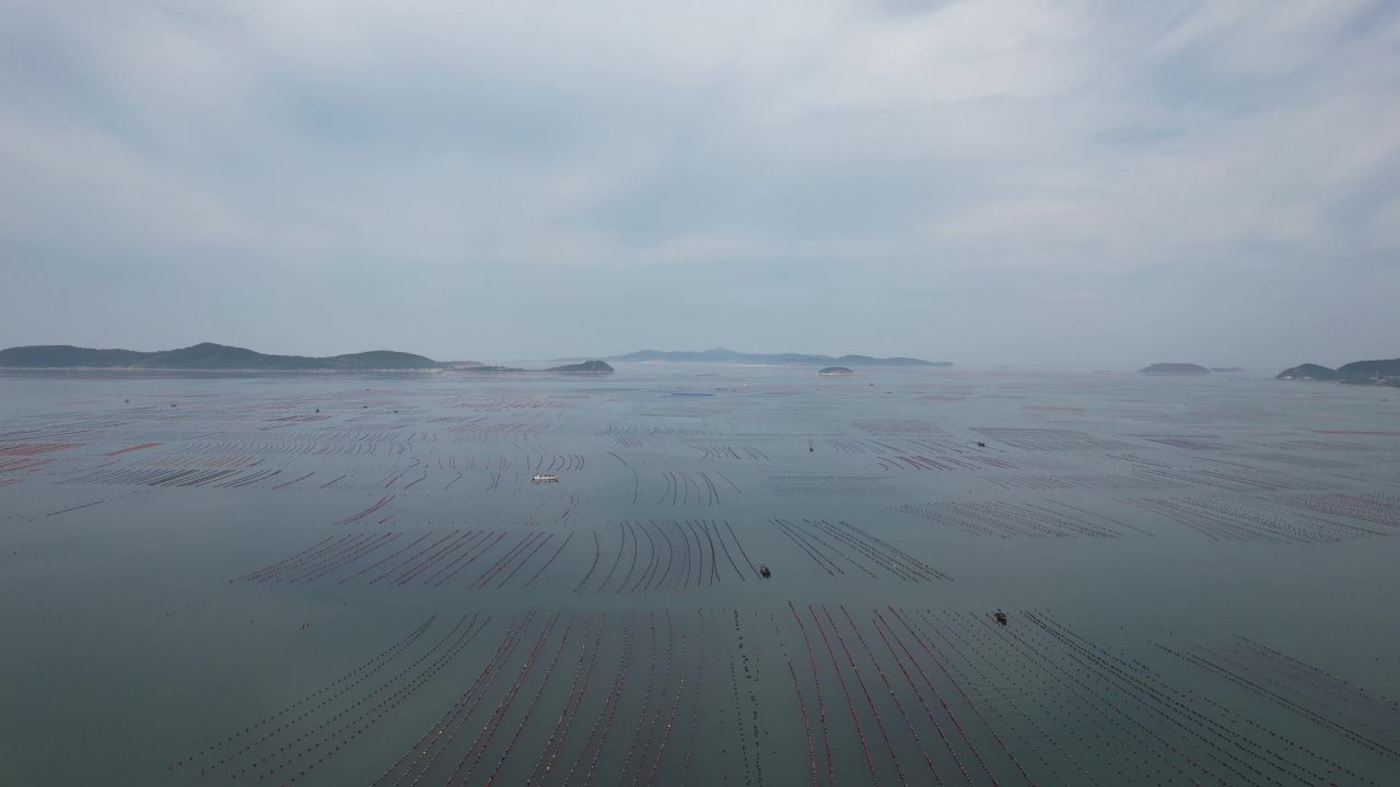 一望无际蓝色大海海洋风景航拍