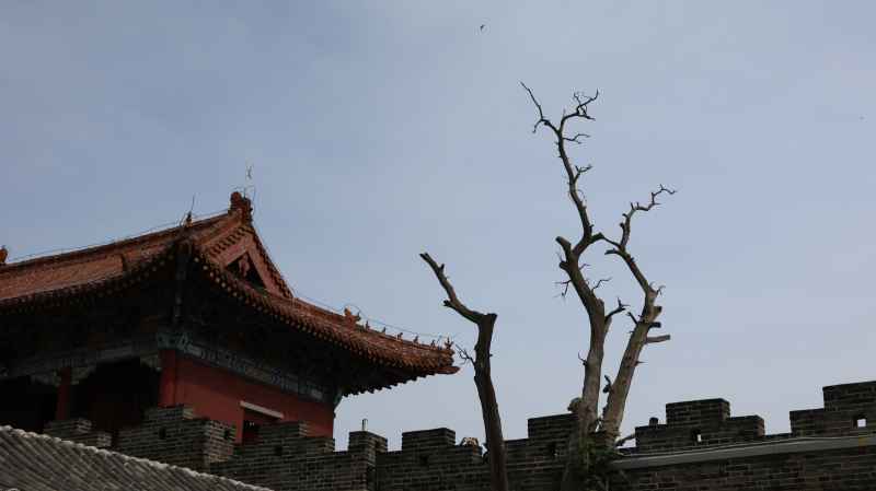 “会当凌绝顶，一览众山小”。五岳独尊泰山系列 8