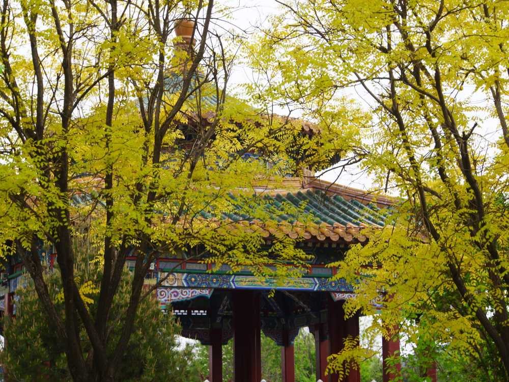 古风建筑