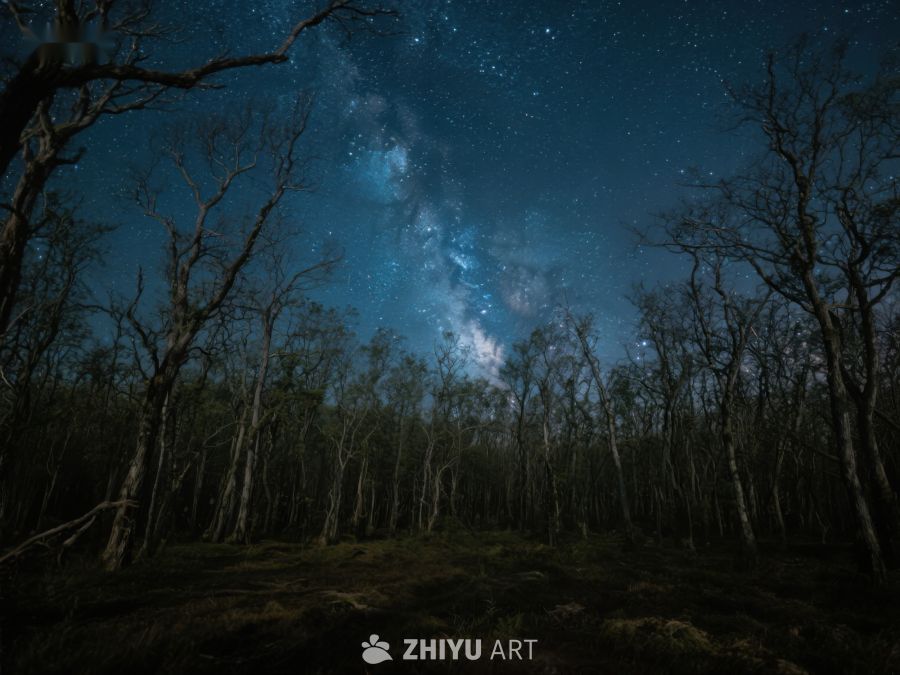 夜空下的森林银河 368