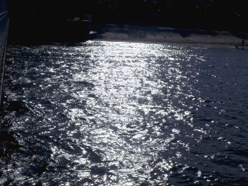 浮光跃金