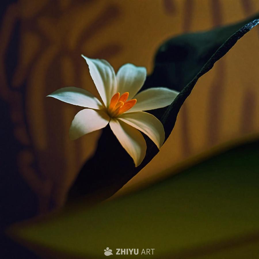 一朵近距离拍摄的美丽花朵，花瓣清晰可见。花朵位于一